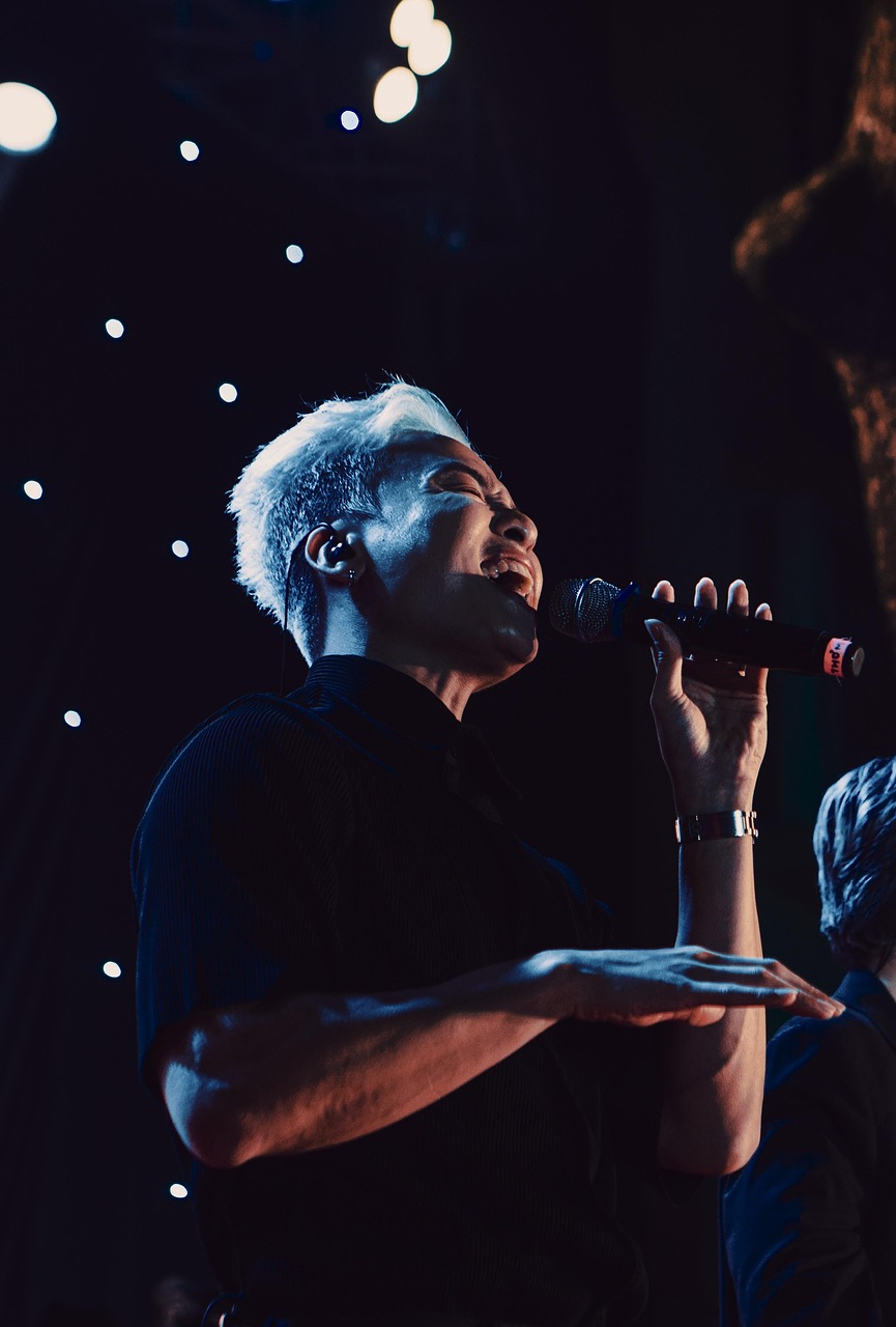 music, hip-hop, night, concer, singer, song